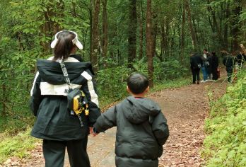 腾冲高黎贡山五道溪徒步 包车游【独立出行 车型任选】【[轻徒步]近距离接触大自然，探秘世界物种基因库】