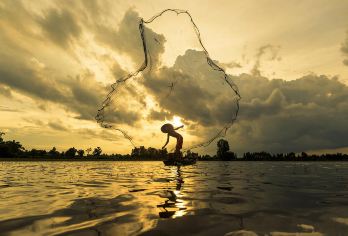 浑江口+绿江村一日游【赏油菜花海|北方香格里拉自然美景】【[出行无忧]全程车接车送，出行不担忧，路途不费心，回归旅游初心，收获一天喜悦。】