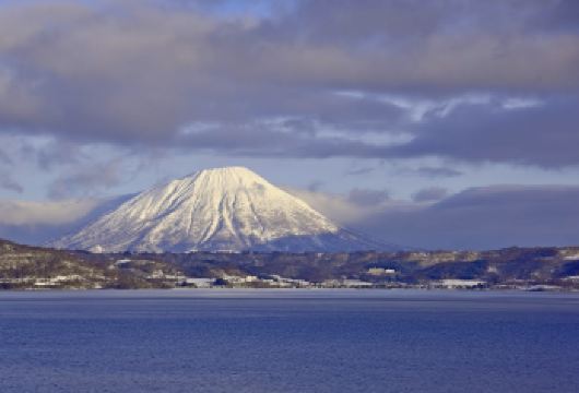 日本北海道札幌-旭山动物园-北镇纪念馆【中文专车-悦享旅途】【中文专车出行，景点灵活调整，打卡经典，游玩自己定义，无需等待，专属贴心服务，尽享惬意旅程】