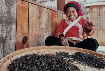 【纯玩小团】普洱景迈山翁基老寨糯干古寨+千年万亩古茶园一日游【[品质保障]纯玩私家团！不拼陌生人！市区上门接送！当天可接机场高铁站！】