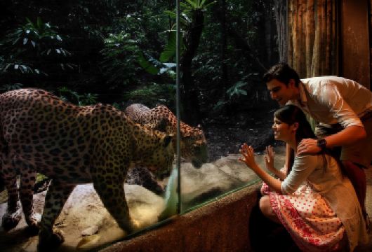 新加坡包车一日游（全境包车，不限景点，中英文司机）【包车出游，享受快乐时光】