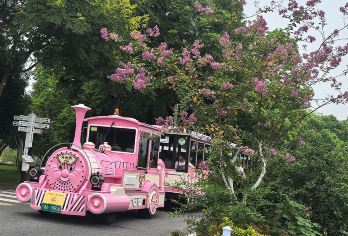 湖南省博物馆+橘子洲+岳麓书院+爱晚亭【上门接+含门票讲解】【全程不购物·门票全含/14周岁以下小孩儿拍儿童/无线耳麦+导游全程深度讲解·合理规划少排队。】