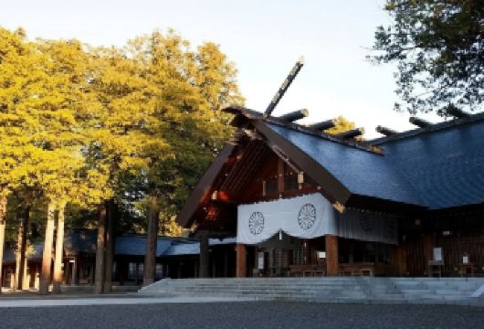 日本北海道札幌市区一日游/行程可调-可定制多日游【精选热门景点，高效游玩不走回头路，深度了解文化内涵，贴心服务保障，轻松享受旅程，性价比超高的旅行。】