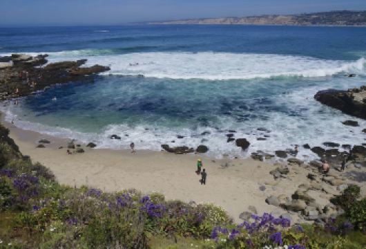 美国洛杉矶出发圣地亚哥拉霍亚海湾+老城+中途岛号博物馆一日游【华人司导，专人专车】