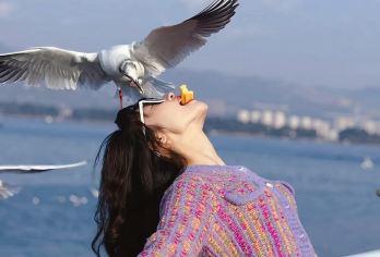 【观鸥季】昆明石林风景区+滇池一日游·二环内接·纯玩大巴团【正规旅游巴士，二十年驾龄老司机，安全无忧；】
