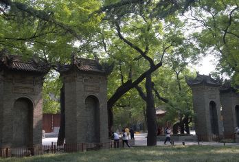 西安博物院+馆内讲解+千古情一日游/酒店接送【2-6人小团】【精品小团，纯玩无购物，无二次消费，博物馆深度讲解，酒店接送，全天车辆随叫随到，游玩时间可自由调整】