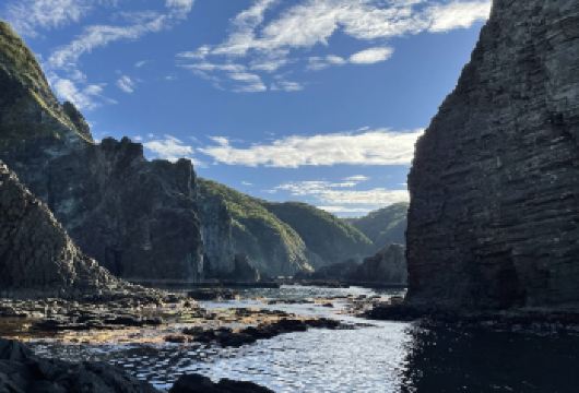 日本登别熊牧场-登别地狱谷-大汤沼-蓬莱门【北海道中文专车】【中文专车出行，景点灵活调整，打卡经典，游玩自己定义，无需等待，专属贴心服务，尽享惬意旅程】