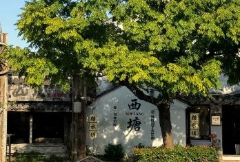 嘉兴乌镇＋乌镇东栅+西塘夜景一日游【纯玩】【全程纯玩无购物，不进任何购物店，保证您的游玩体验！】