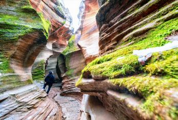 延安甘泉大峡谷一日游【西安市区往返+甘泉雨岔大峡谷+桦树沟】【全程0自费0购物，安心游，不会推销任何产品或者演出项目，真正的旅行好产品，让您尽享美好旅途的乐趣！】