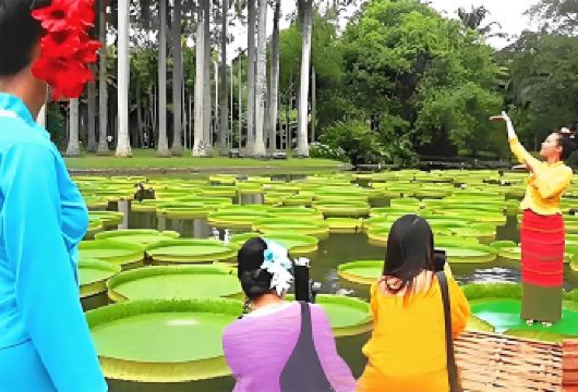 【一单一团不拼车】云南西双版纳中国科学院植物园+曼远村一日游【[缤纷景点]打卡地标景点，走进