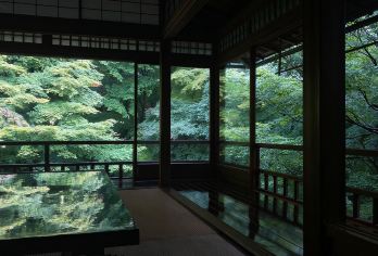 日本大阪往返-琉璃光院-三千院-贵船神社-红叶巡礼红叶季【专业行程定制，精选热门景点，高效游玩不走回头路，贴心服务保障，轻松】