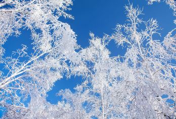 漠河+北极村3日2晚私家团【北极村·北极星广场】