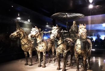 兵马俑+丽山园（ 铜车马）深度游  多套餐可选【拒绝走马观花 深度游览兵马俑 3H+】