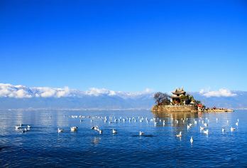 生态廊道+喜洲+双廊+环海东路+理想邦商务车环海精品一日游【纯玩无购物，骑廊道，游双镇，追光环海路，揽圣境云端】