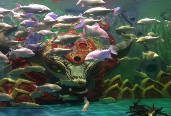 西双版纳原始森林公园+湄公河水底世界+曼远村一日游【[丰富玩乐] 懒人游9点出发，2-6人精品小团，慢旅行】