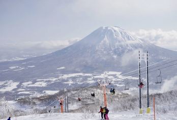 日本北海道富田农场-青池-白须瀑布-层云峡【北海道中文专车】【中文专车出行，景点灵活调整，打卡经典，游玩自己定义，无需等待，专属贴心服务，尽享惬意旅程】
