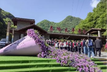 【直通车】太平国家森林公园一日游【海拔：1800M(彩虹瀑布观景台）】