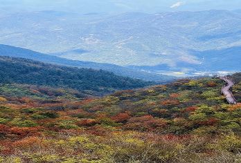 鸬鸟山｜：杭州“小武功山”十大森林古道竹径茶语【一个没被开发的野山，充满了自然和野趣】