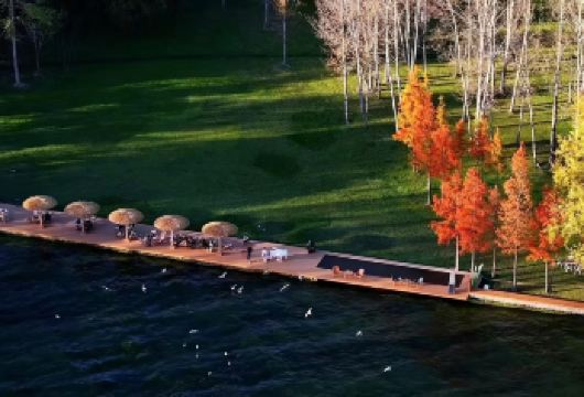 环洱海包车5/7/9座车自由行一日游【景点自由定制专车服务】【9小时内包车自由行，一单一团专车服务】