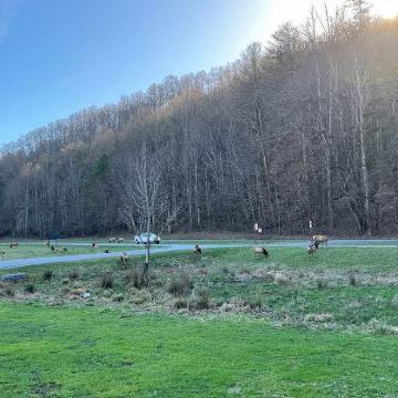 美国亚特兰大-大烟山国家公园-12h【中文包车自由行】