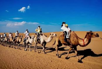 呼和浩特+响沙湾一日游【含响沙湾门票+往返索道+往返车费】【真纯玩，全程不进购物店 ，无隐形消费，】