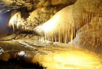 天空之城+枫林地心大峡谷+仙岛湖  武汉往返 黄石一日游G【全程中文/英文/俄语/小语种服务，沟通无障碍，景点可调,多种车型可选】