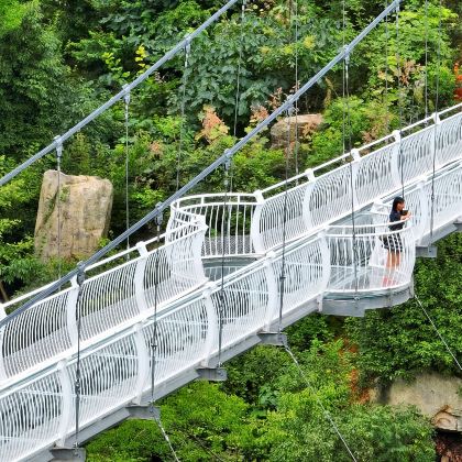 金寨龙津溪地+悬剑山一日游【1-6人团|轻奢自由|赠讲解】