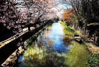 日本大阪+琵琶湖+八幡堀一日游【大阪周边小众景点+中文司导+独立包车+行程灵活】