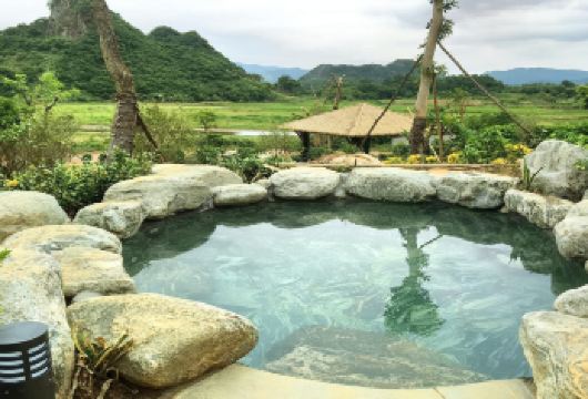 广东宝晶宫天鹅湖度假酒店茶语温泉一日游【以茶文化为主题】【[团队出游]您是否需要策划一场完美的公司旅行，快点击客服咨询吧】