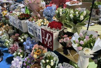 昆明出发：石林风景区+云南民族村+斗南花市一日游【私家团】【私家小团丨小众玩法丨纯玩无购丨独立包车丨行程可调丨随停随走丨时间自由丨上门接送】