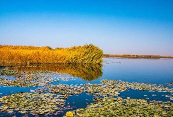 包车游新疆南疆博斯腾湖大河口+环湖公路一日纯玩+上门接送【小车团/包车库尔勒市区内，机场、火车站可接】