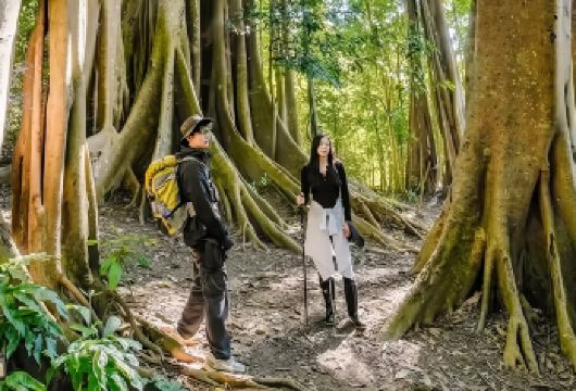 西双版纳中缅边境一日游（纯玩团+含门票+中餐）【开心游版纳，超舒心安逸】