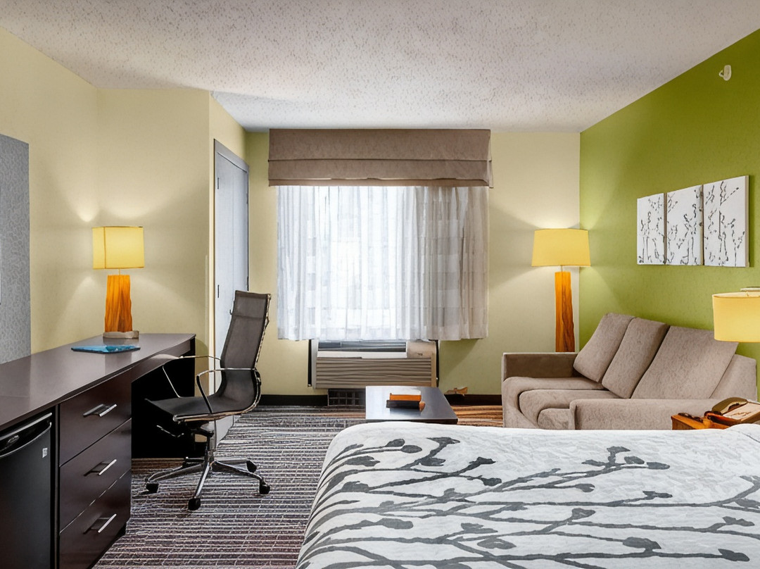 Ammon酒店住宿-Sleep Inn & Suites Harbour Pointe