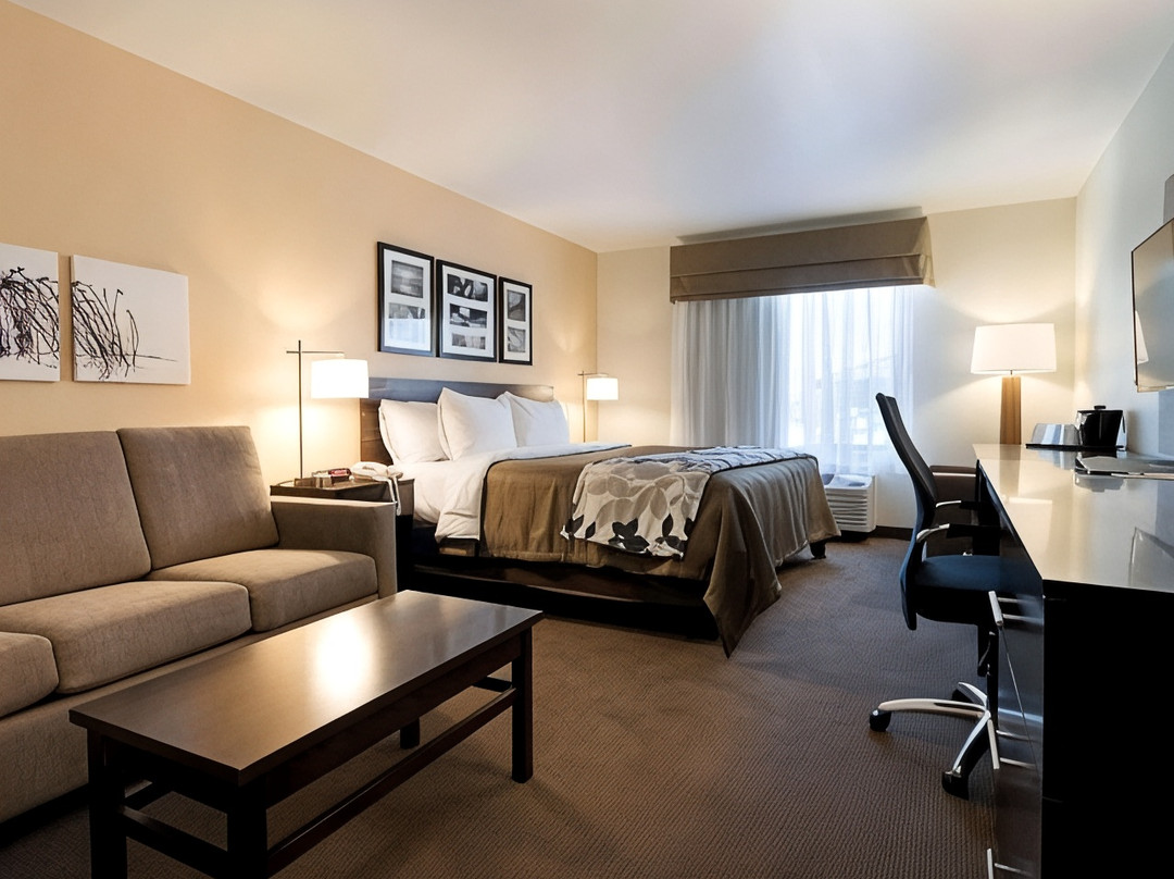 卡尔斯巴德酒店住宿-Sleep Inn & Suites Carlsbad Caverns Area