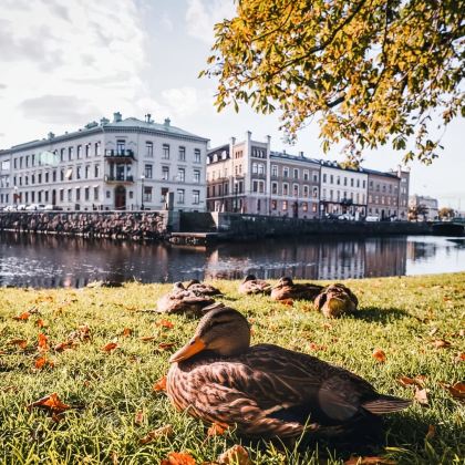 斯堪森堡+哥德堡市政厅广场+自然科技馆+哈加大教堂一日游