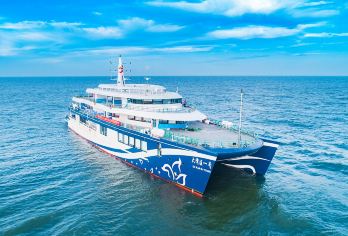 深圳大湾区一号(港珠澳大桥)+中英街+大梅沙一日游（含午餐）【乘游轮近距离观赏穿越世纪工程-港珠澳大桥】