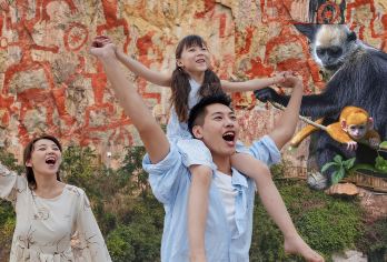 【崇左起止】花山岩画、白头叶猴探秘一日游/纯玩无购物无自费【私家小团，时间自由，游玩时间充足】