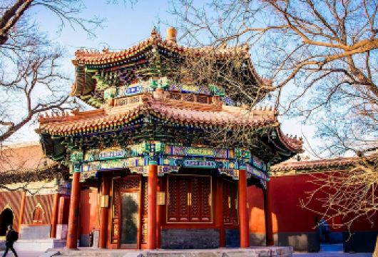 雍和宫【祈福之旅】清朝两位皇帝的潜龙邸【5年以上老导游带您聆听皇家潜龙邸的故事】