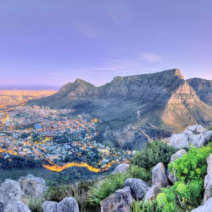 桌山+豪特湾+南非企鹅生态保护区+好望角+海豹岛一日游