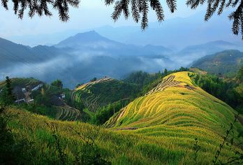 2人起私家团祖庙明月山一日游宜春萍乡新余吉安上门接送【所选城市市区免费上门接送，方便快捷，省时省力（时间可微调）】
