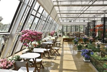 韩国涯月海岸道路+山茶花之丘一日游【中文/行程可调/定制】【当地中文司机，在地生活，感受当地人的模式 美食攻略，旅途聚会，吃吃喝喝畅游当地】