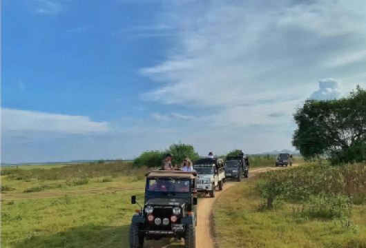 斯里兰卡-乌达瓦勒韦国家公园一日游 私人VIP包车（越野车）【专车服务+行程可调+酒店接送】