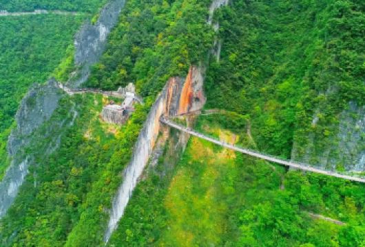 【纯玩2-8小团】816工程+武陵山大裂谷+可定制行程【重庆本土旅行社无惧任何对比模仿，车辆运营证件齐全、车新车况优良，只为您少一份旅途疲劳。】