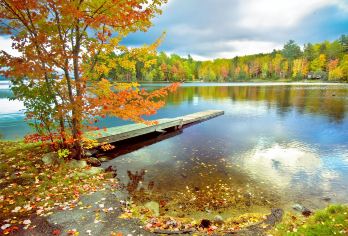 波士顿-白山国家森林+Flume Gorge+中文包车【波士顿周边白山国家森林赏枫游[中文专车+可定制行程]】