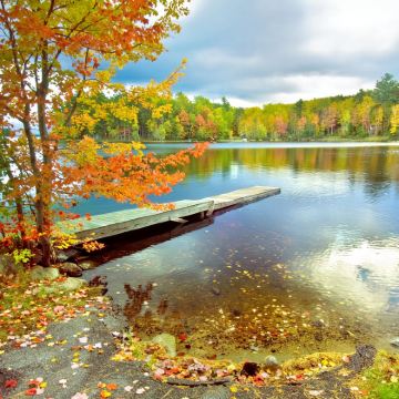 波士顿-白山国家森林+Flume Gorge+中文包车