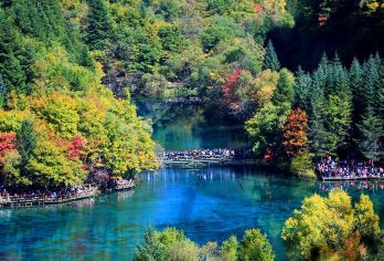 黄龙九寨高铁站-九寨沟-大巴车直通车（车票）【①星宇国际酒店，②月亮湾地面停车场，③见九寨，④千古情对面，⑤鲁能小镇桥头（搜索将军超市）】