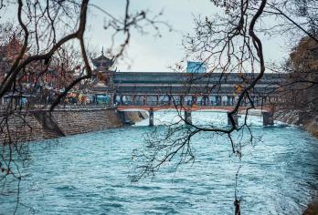 中国成都 熊猫谷+都江堰+蓝眼泪+仰天窝 一日游【天府三九大 安逸走四川 熊猫故乡行 休闲慢生活】