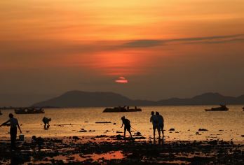 陵水赤岭一日游【赶海•含工具•多套餐可选丨赠火锅餐】【出游时间会根据季节、天气、潮汐情况等调整，具体时间会提前告知】