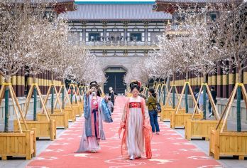 中国唐城+古城护城河+古隆中一日游【包车丨上门接丨深度体验】【[上门接驳]睡个懒觉再出发，不用出门乱找路。司机上门接待游客，人性化服务。】