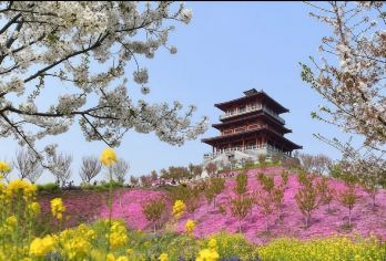 嵩山+古柏渡丰乐樱花+卢崖瀑布风景区/多国语言导游@【园区以樱花观赏为主题，集旅游观赏、休闲娱乐为一体，成为规模大、品种多、景观精致的樱花文化主题公园之一】